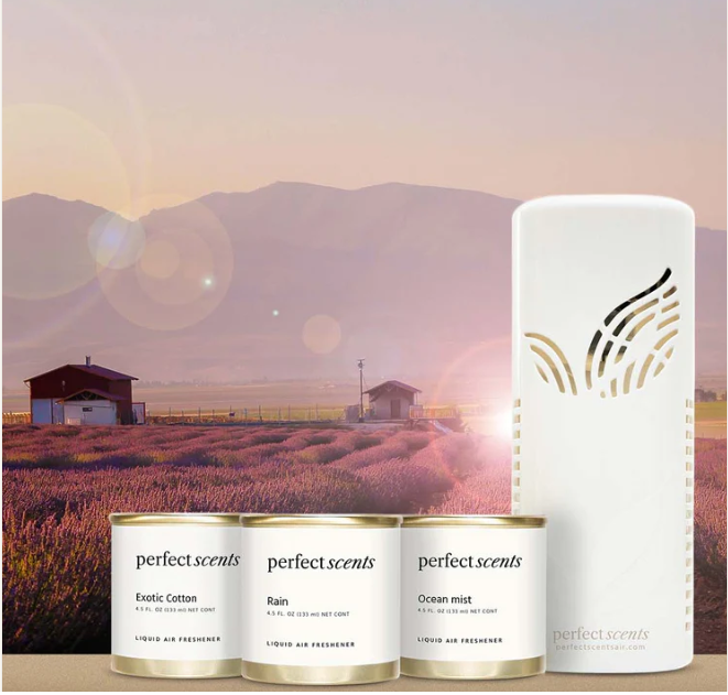 Perfect scents hotsell